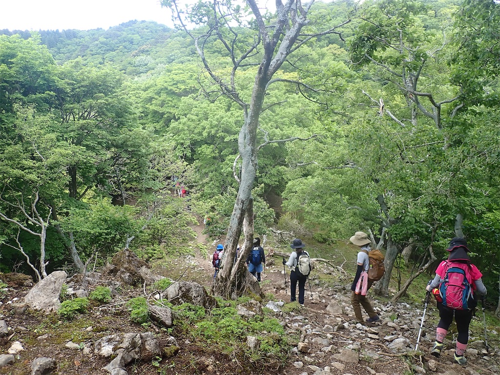 f:id:otonajoshi:20210530135404j:image f:id:otonajoshi:20210530135404j:image