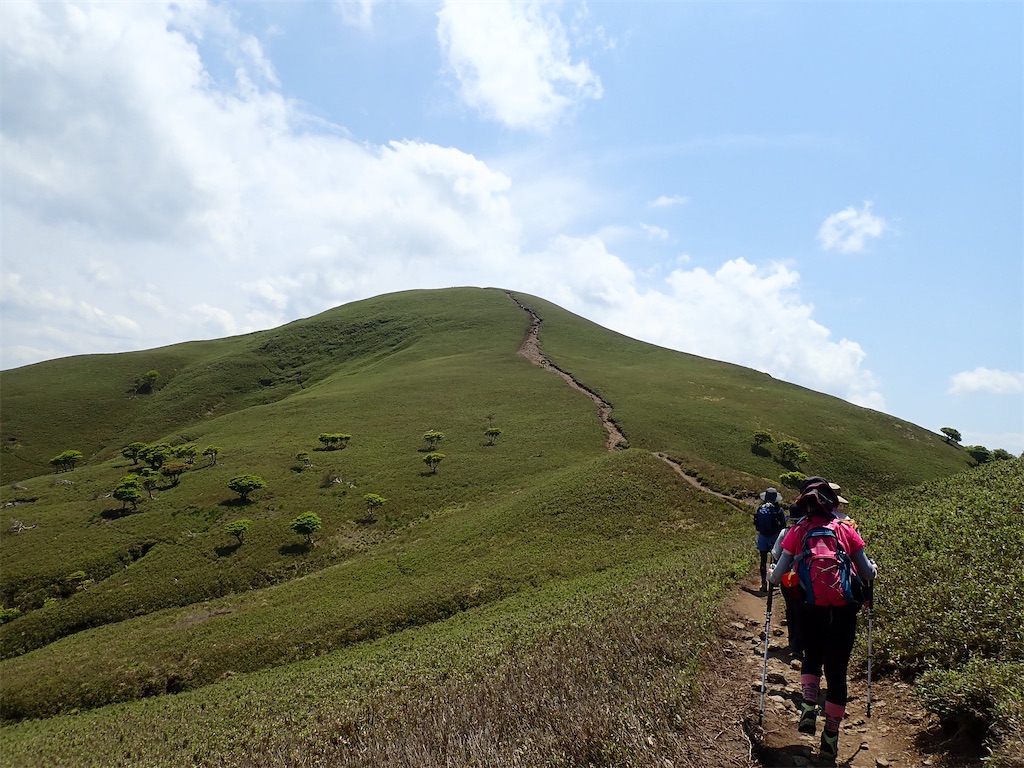 f:id:otonajoshi:20210530135511j:image f:id:otonajoshi:20210530135511j:image