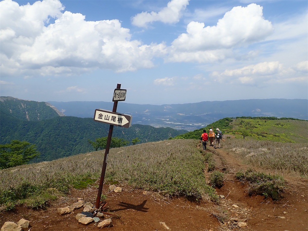 f:id:otonajoshi:20210530135552j:image f:id:otonajoshi:20210530135552j:image