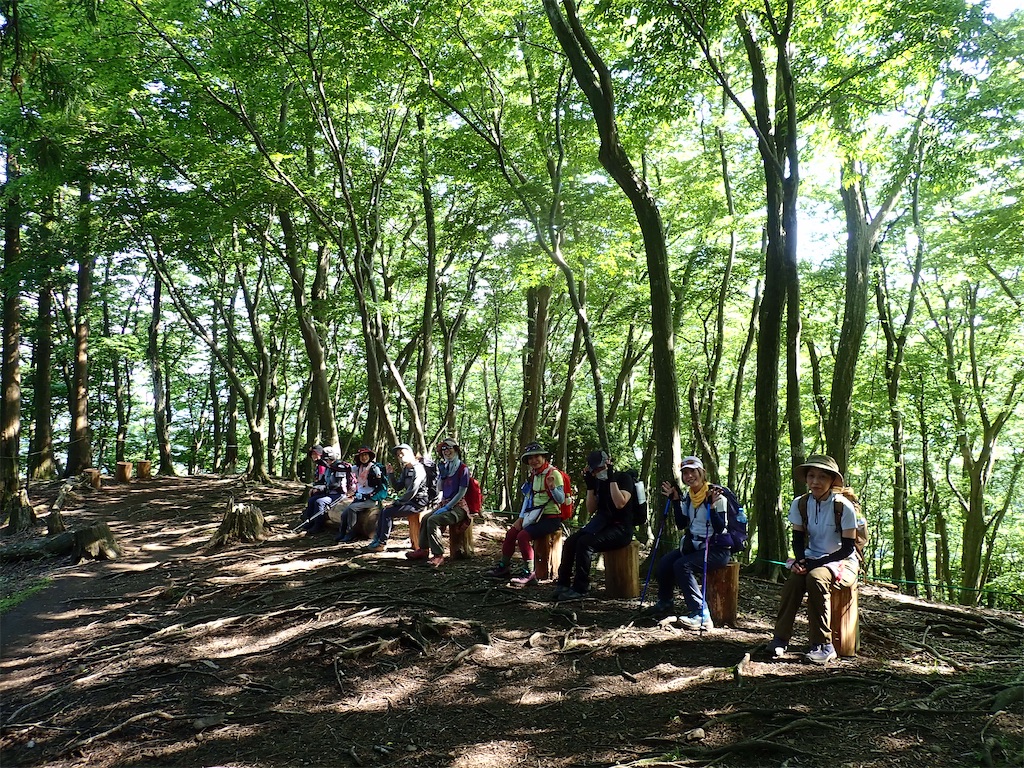 f:id:otonajoshi:20210530135616j:image f:id:otonajoshi:20210530135616j:image