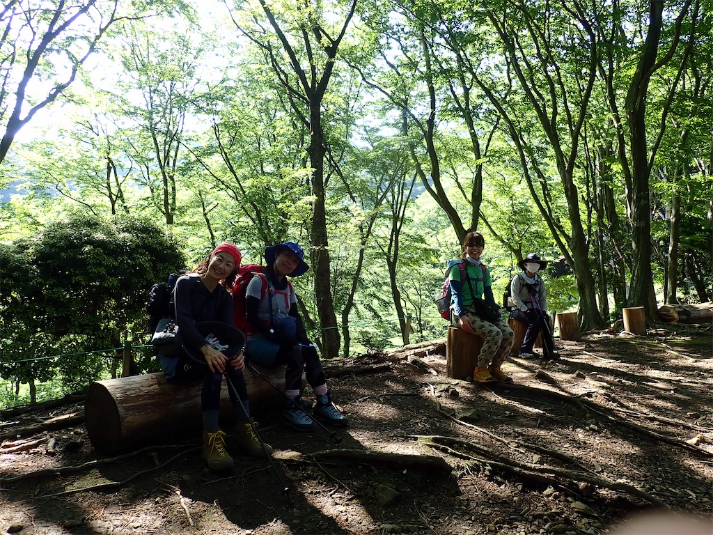 f:id:otonajoshi:20210530135635j:image f:id:otonajoshi:20210530135635j:image