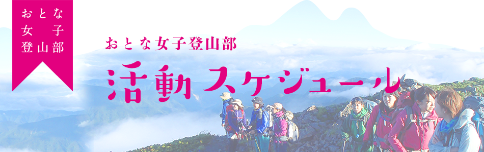 f:id:otonajoshi:20210615143540p:plain
