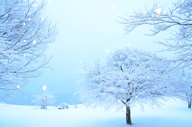 f:id:otonakatei:20190114230504j:plain