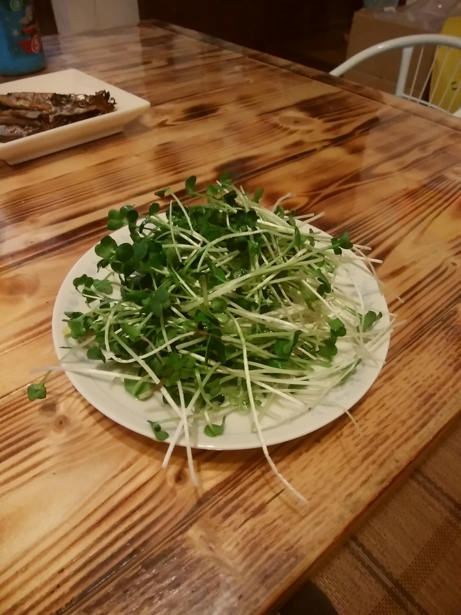 f:id:otonamaigo:20190523215618j:plain
