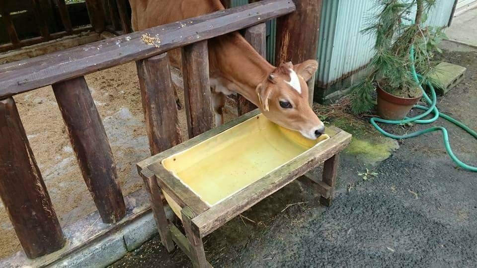 f:id:otonano_ensoku:20171225045031j:plain