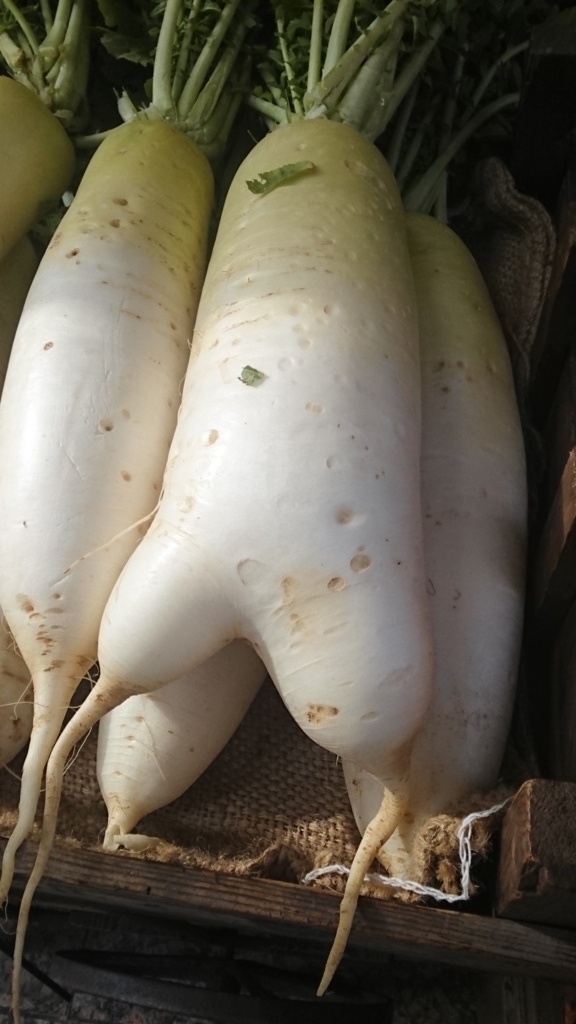 f:id:otonano_ensoku:20180119202745j:plain f:id:otonano_ensoku:20180119202745j:plain