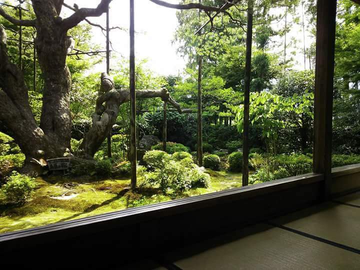 f:id:otonano_ensoku:20180526143825j:plain f:id:otonano_ensoku:20180526143825j:plain