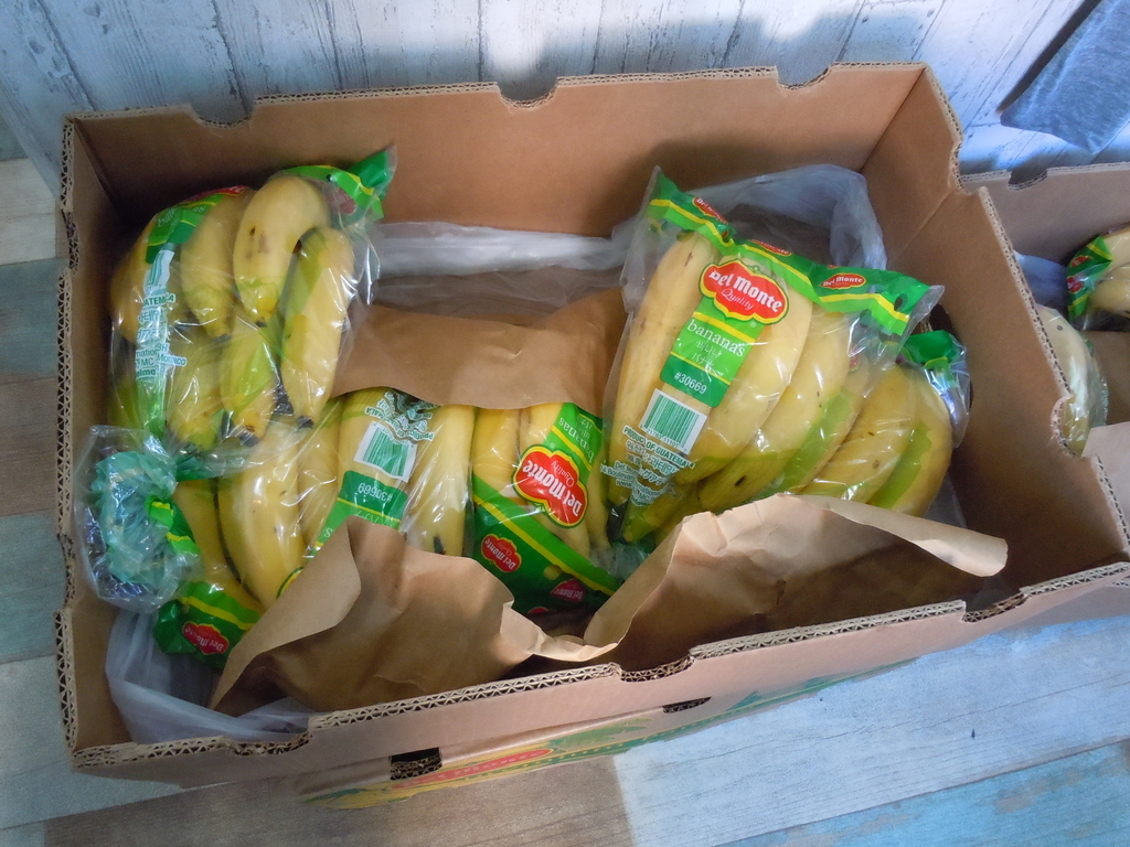 f:id:otonano_ensoku:20190119192059j:plain f:id:otonano_ensoku:20190119192059j:plain