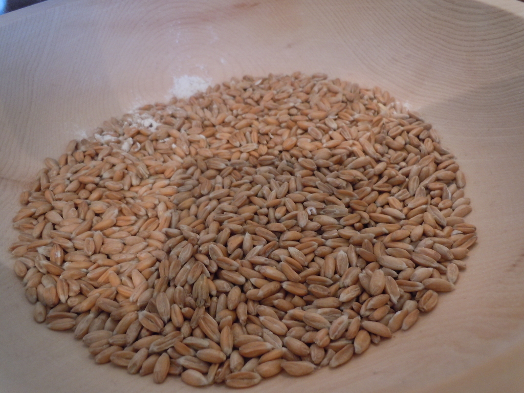 f:id:otonano_ensoku:20190225122537j:plain f:id:otonano_ensoku:20190225122537j:plain