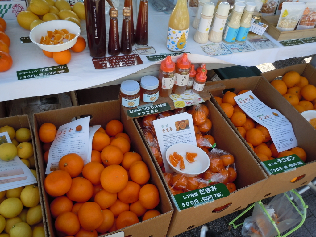 f:id:otonano_ensoku:20190225124309j:plain f:id:otonano_ensoku:20190225124309j:plain