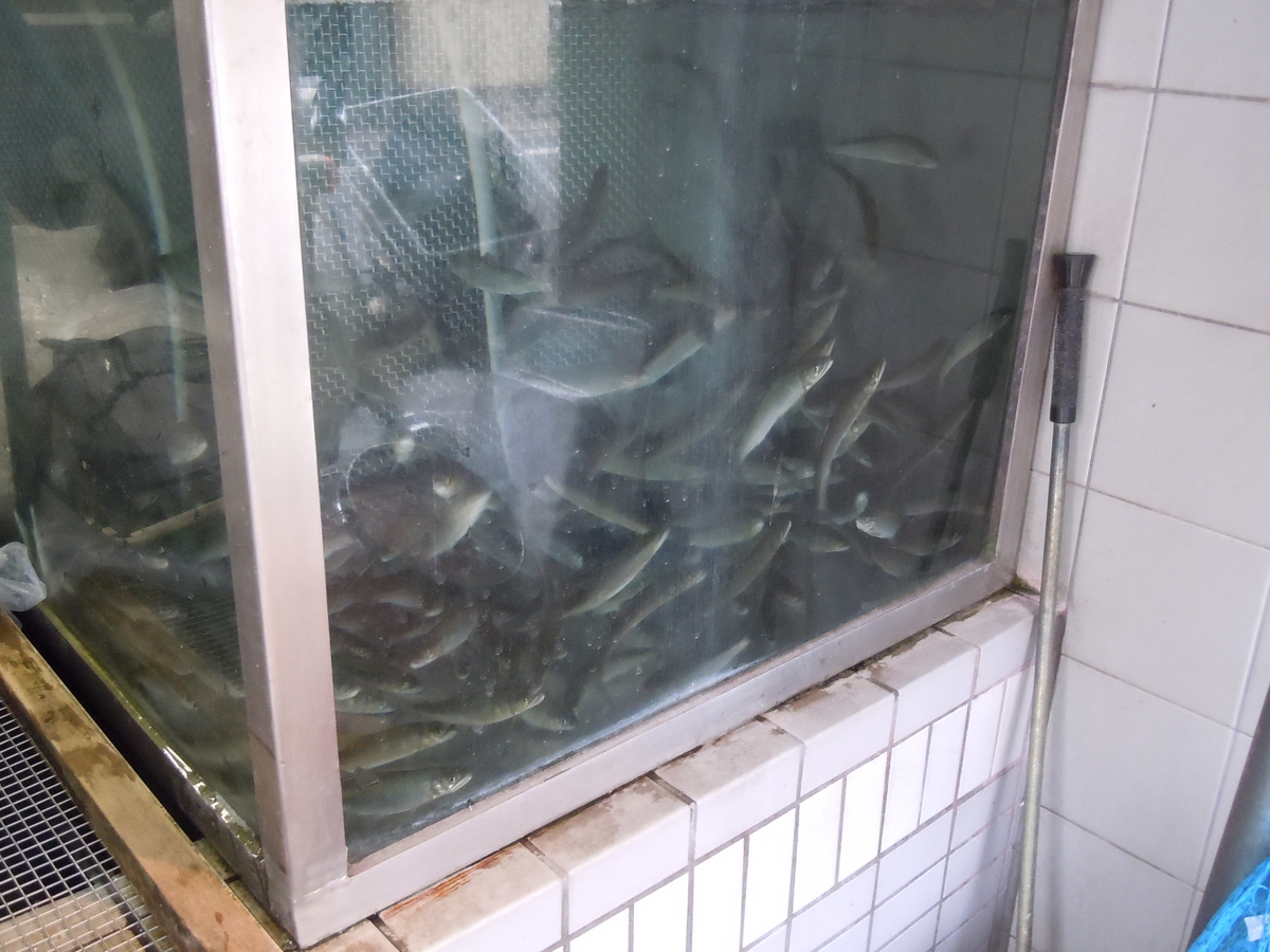 f:id:otonano_ensoku:20190510122707j:plain