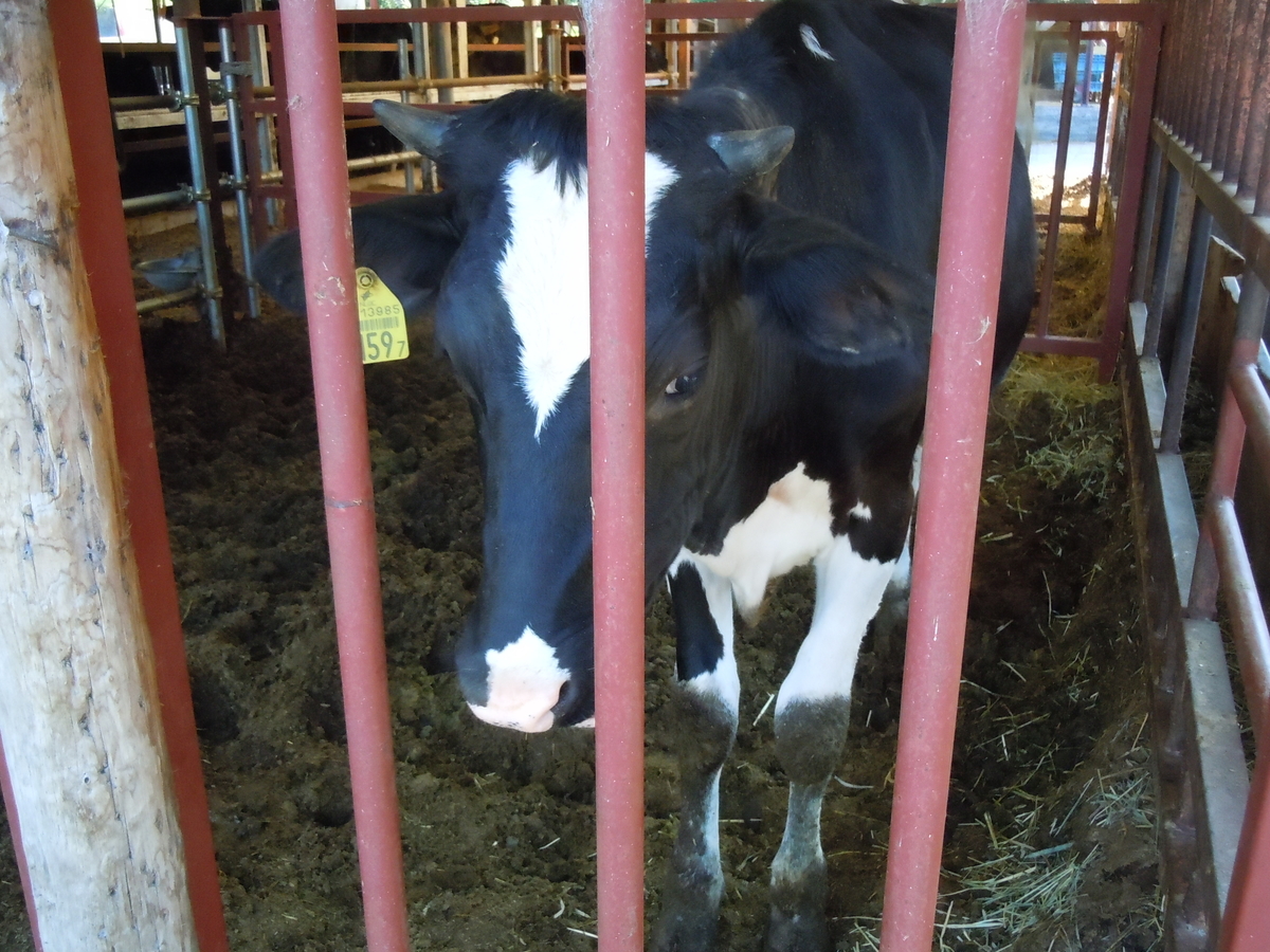 f:id:otonano_ensoku:20190805185728j:plain