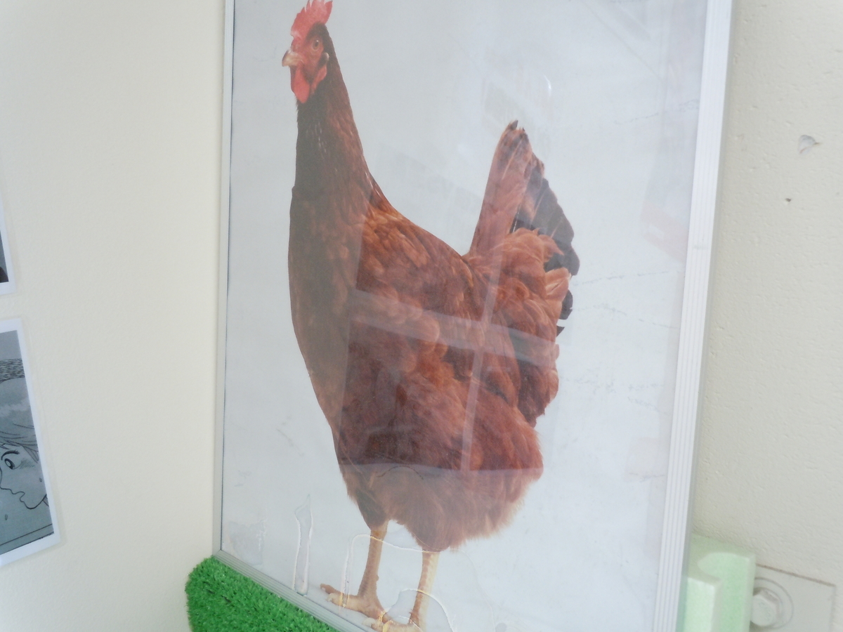 f:id:otonano_ensoku:20191027100315j:plain f:id:otonano_ensoku:20191027100315j:plain