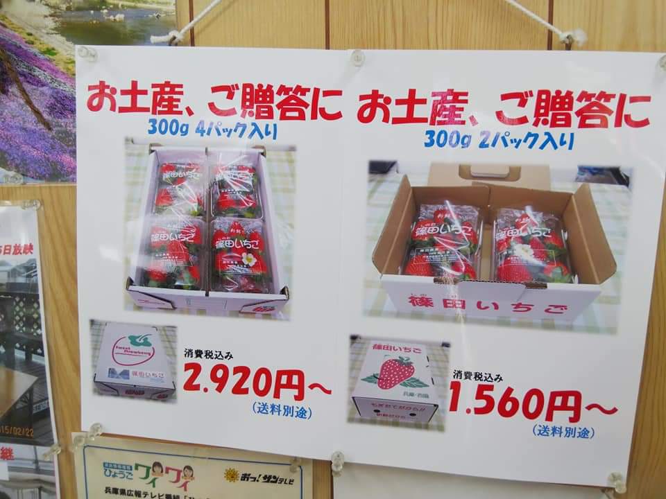 f:id:otonano_ensoku:20200621122523j:plain f:id:otonano_ensoku:20200621122523j:plain