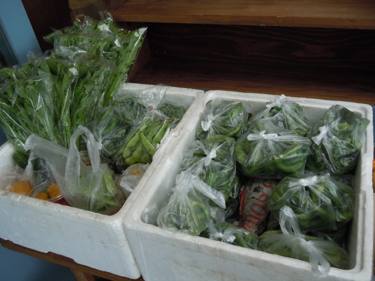 f:id:otonano_ensoku:20200711175529j:plain