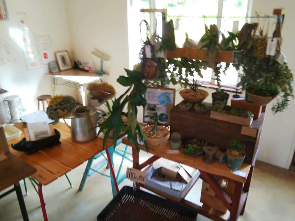 f:id:otonano_ensoku:20200921021350j:plain