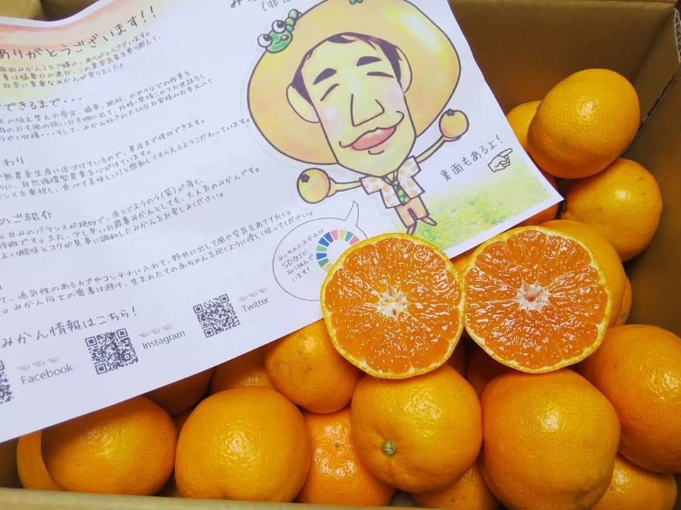 f:id:otonano_ensoku:20201115131318j:plain f:id:otonano_ensoku:20201115131318j:plain