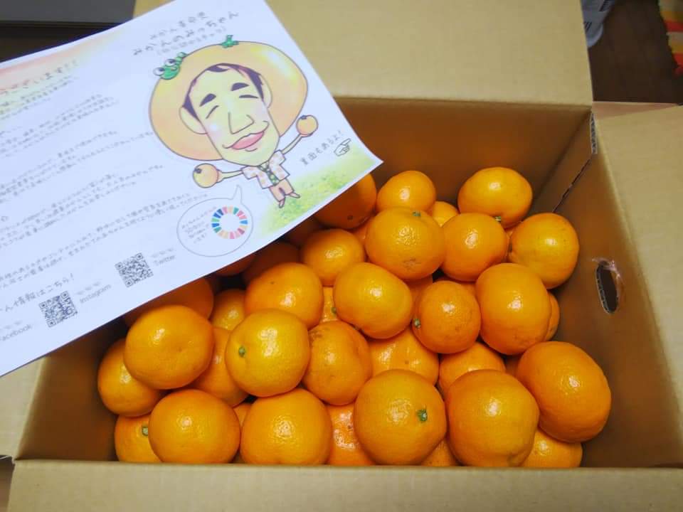 f:id:otonano_ensoku:20201115131328j:plain f:id:otonano_ensoku:20201115131328j:plain