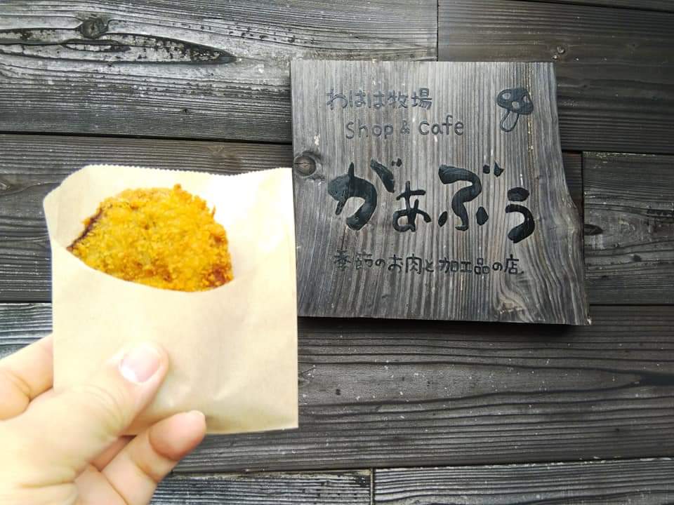 f:id:otonano_ensoku:20201129113206j:plain