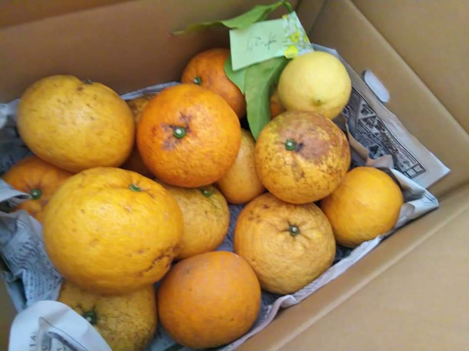 f:id:otonano_ensoku:20210613081054j:plain