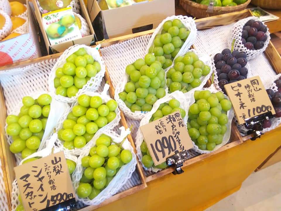 f:id:otonano_ensoku:20210929121521j:plain