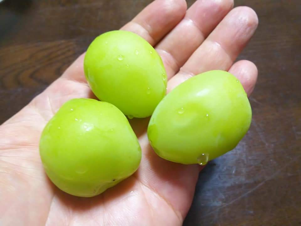 f:id:otonano_ensoku:20210929121902j:plain