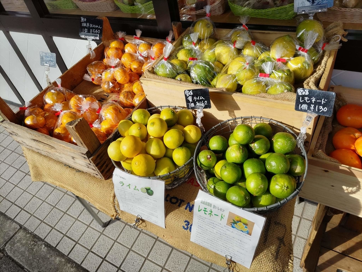 f:id:otonano_ensoku:20211113161024j:plain