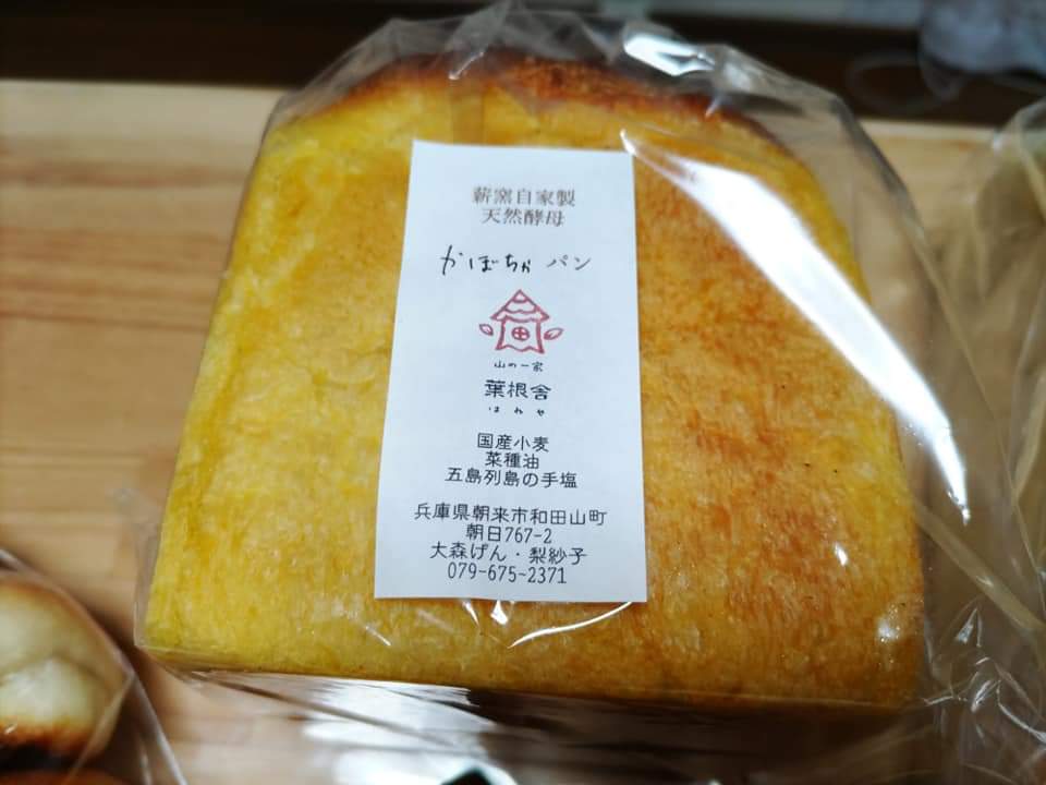 f:id:otonano_ensoku:20211214161156j:plain