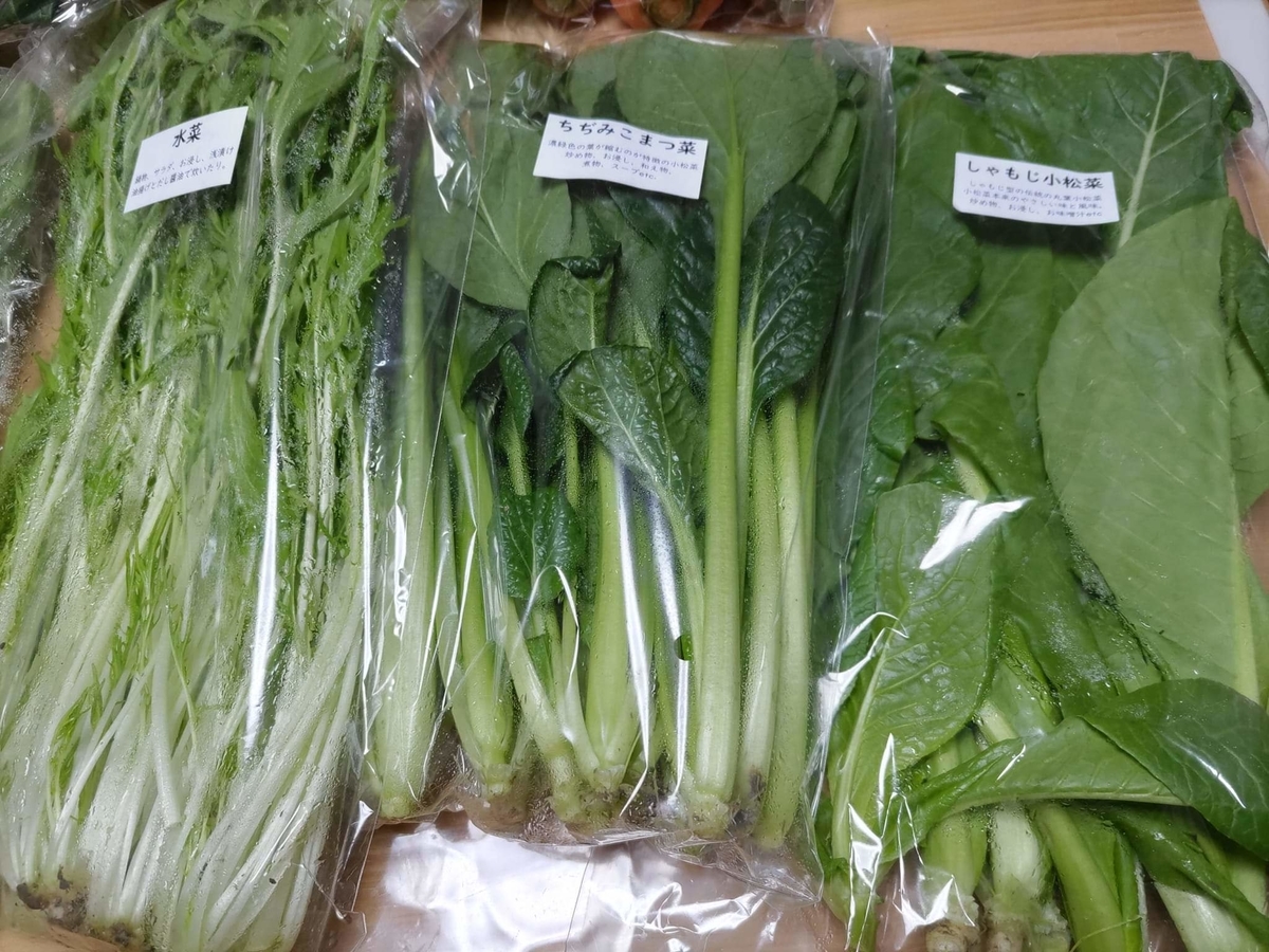 f:id:otonano_ensoku:20211225122031j:plain