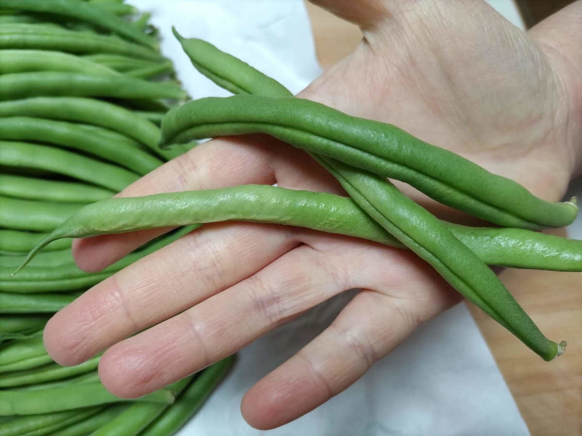 f:id:otonano_ensoku:20211225122635j:plain