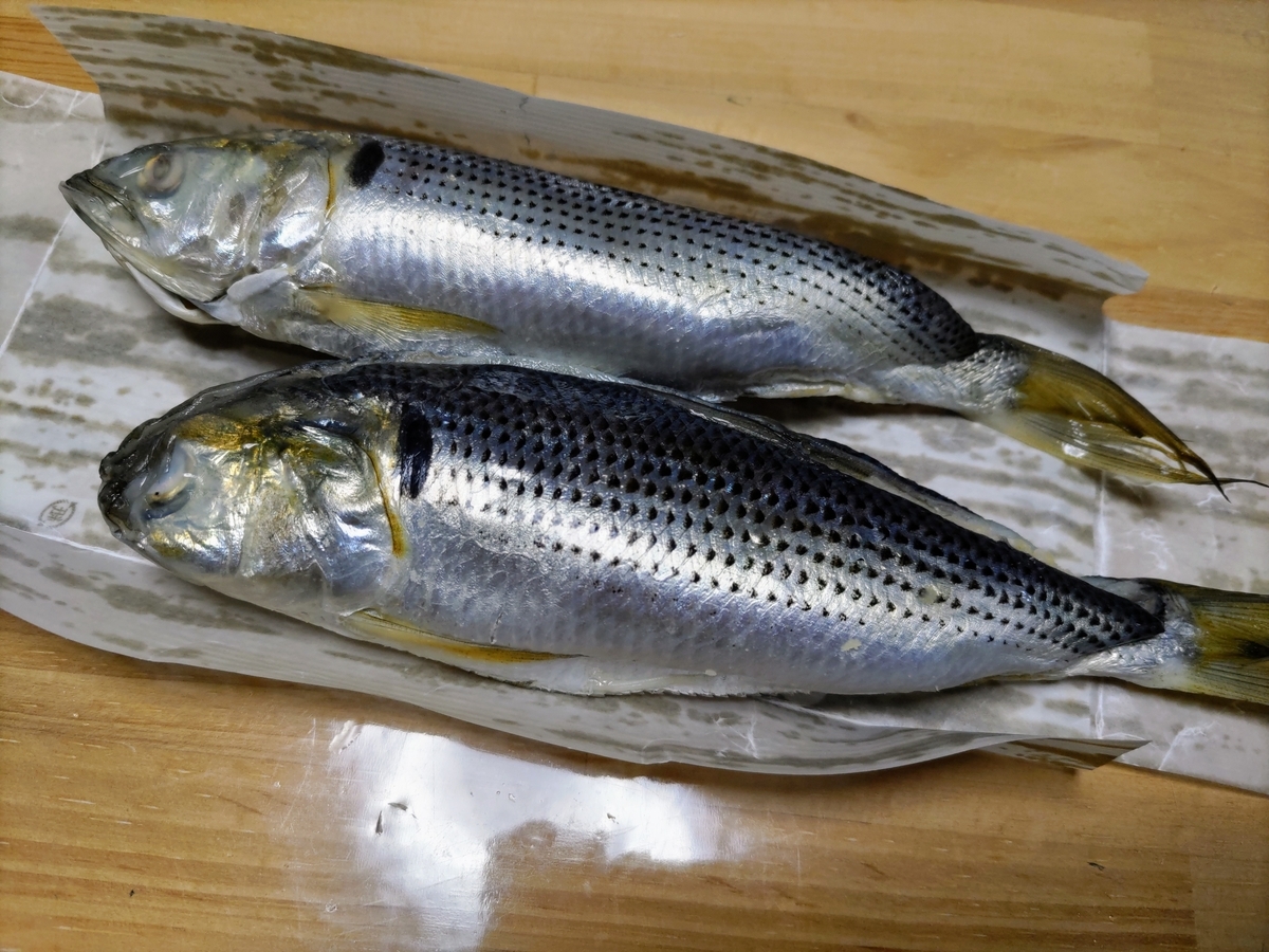 f:id:otonano_ensoku:20220109193033j:plain