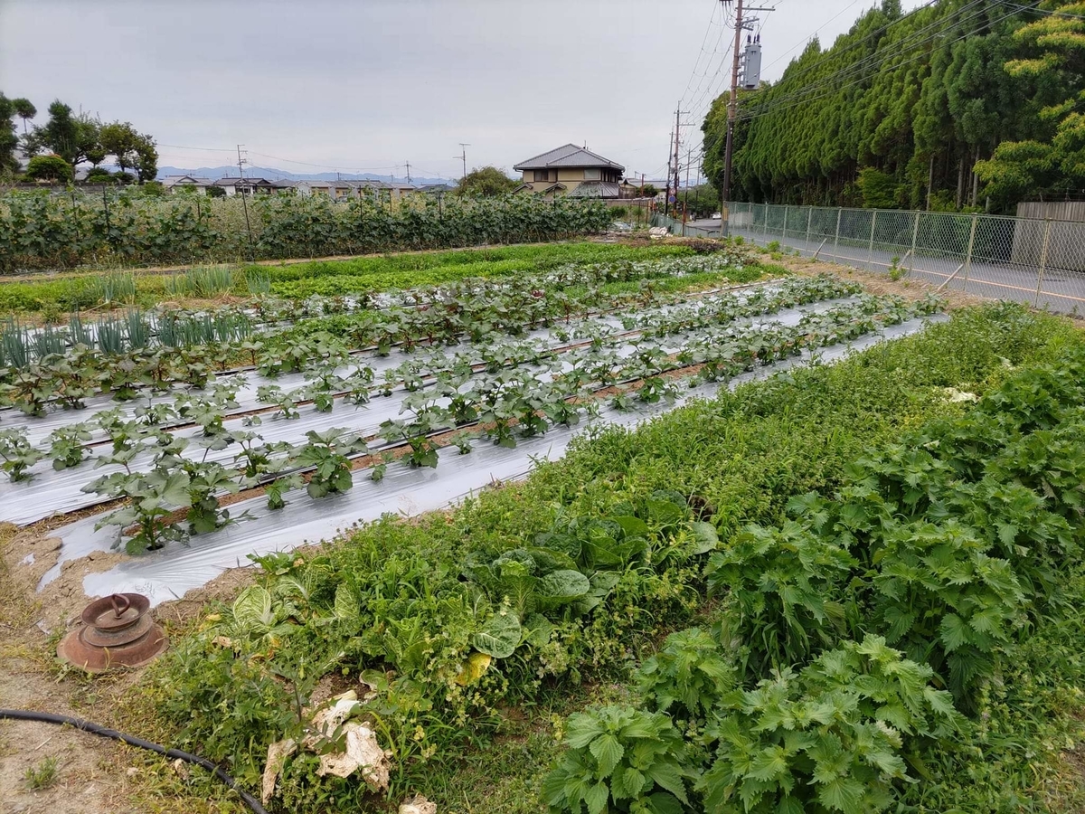 🍀🍀🍀🍀つちだファーム 京都市右京区 野菜生産販売 自動販売機