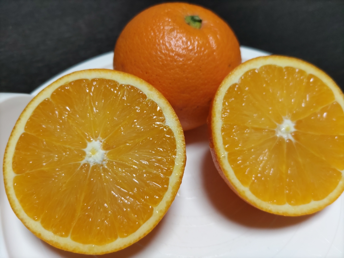 20kg 瀬戸内海 訳あり カラマンダリン 農薬不使用 濃厚な風味 愛媛産 10 ラストセール・冷蔵便】訳ありカラマンダリン（愛媛県中島産