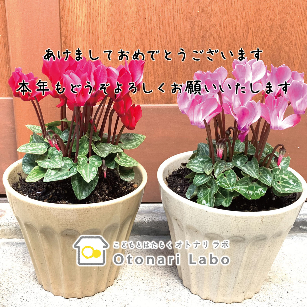 f:id:otonari-labo:20190102220906j:plain:w500 f:id:otonari-labo:20190102220906j:plain:w500