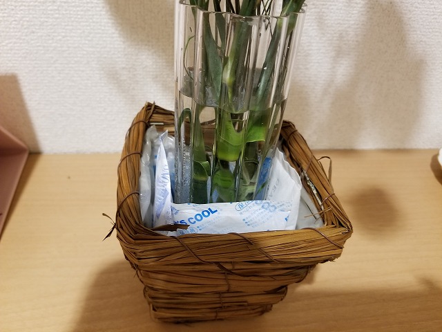 f:id:otonarion:20190819185158j:plain f:id:otonarion:20190819185158j:plain