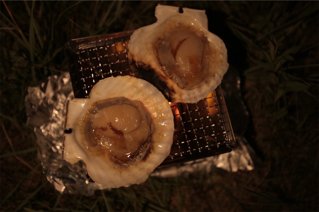 f:id:otonatoshoshitu:20190625222539j:image f:id:otonatoshoshitu:20190625222539j:image