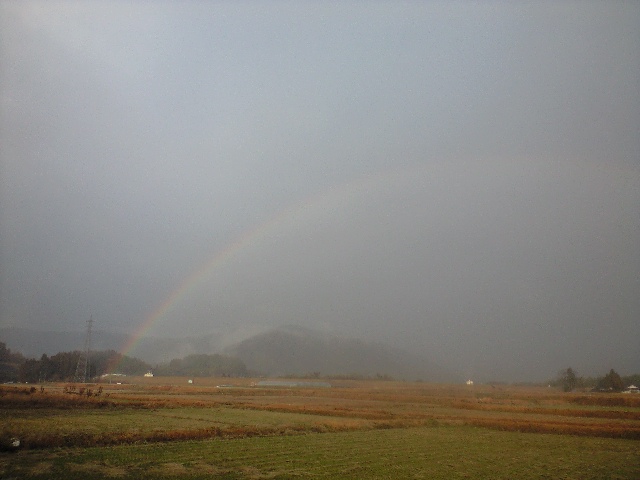 f:id:otonokoya:20090125160907j:image