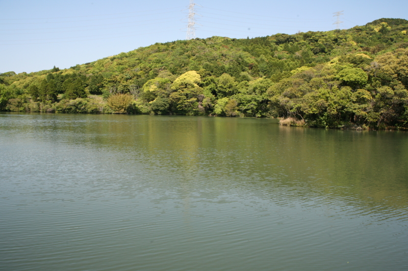 f:id:otonokoya:20110429145313j:image