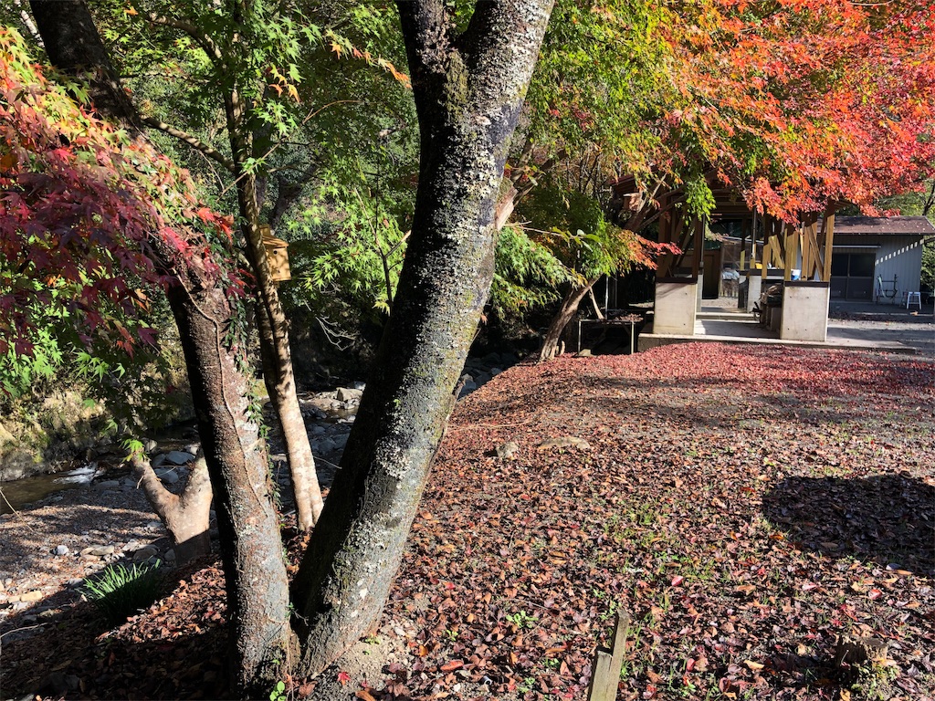 f:id:otooo:20181122211748j:image