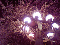 f:id:otoshimono:20070406003522j:image