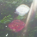 f:id:otoshimono:20080717224433j:image