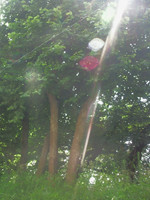f:id:otoshimono:20080717224450j:image