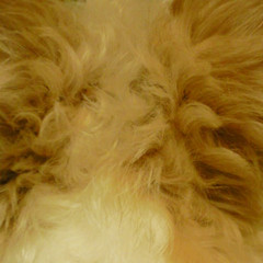f:id:otoshimono:20090806121044j:image
