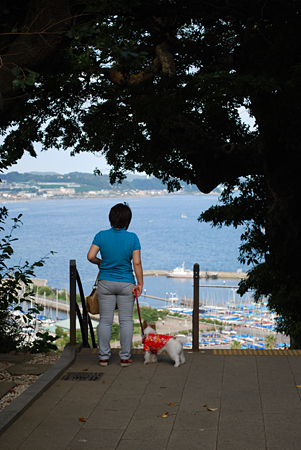 f:id:otoshimono:20090825160545j:image