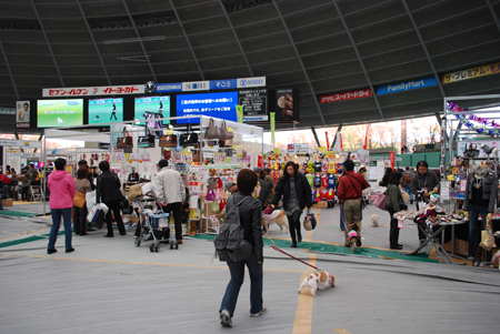 f:id:otoshimono:20091114115804j:image