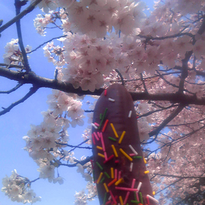 f:id:otoshimono:20100403111300j:image