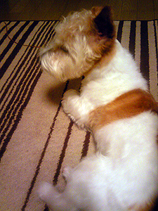 f:id:otoshimono:20100505012700j:image