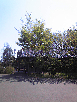 f:id:otoshimono:20110424123501j:image