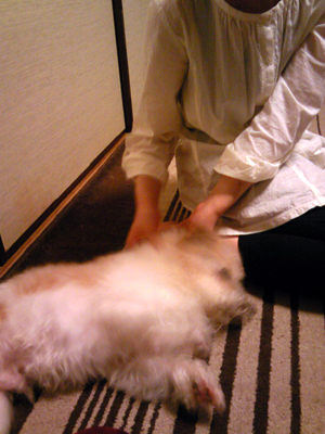 f:id:otoshimono:20110529221800j:image