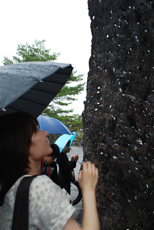 f:id:otoshimono:20110819100209j:image